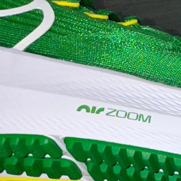 Nike Zoom Pegasus 39 Oregon Ducks Green Yellow DR1970-300 Men's Size 8.5 New